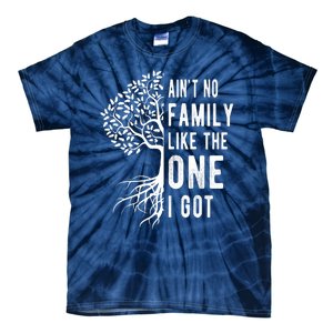 Aint No Family Like The One I Got Tie-Dye T-Shirt