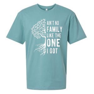 Aint No Family Like The One I Got Sueded Cloud Jersey T-Shirt