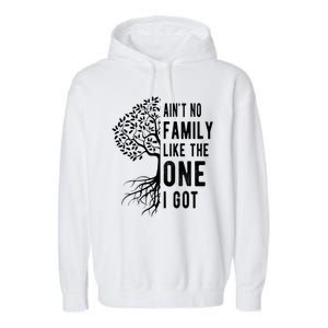 Aint No Family Like The One I Got Garment-Dyed Fleece Hoodie