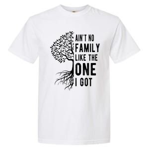 Aint No Family Like The One I Got Garment-Dyed Heavyweight T-Shirt