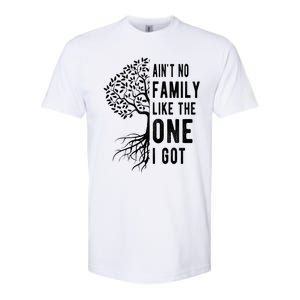 Aint No Family Like The One I Got Softstyle CVC T-Shirt