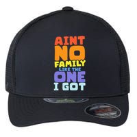 AinT No Family Like The One I Got Family Reunion 2024 Flexfit Unipanel Trucker Cap