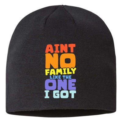 AinT No Family Like The One I Got Family Reunion 2024 Sustainable Beanie