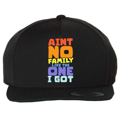 AinT No Family Like The One I Got Family Reunion 2024 Wool Snapback Cap