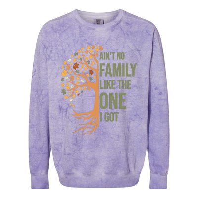 AinT No Family Like The One I Got Funny Family Reunion 2024 Colorblast Crewneck Sweatshirt