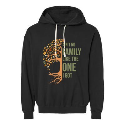 AinT No Family Like The One I Got Funny Family Reunion 2024 Garment-Dyed Fleece Hoodie