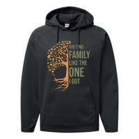 AinT No Family Like The One I Got Funny Family Reunion 2024 Performance Fleece Hoodie