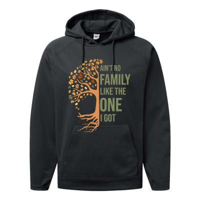 AinT No Family Like The One I Got Funny Family Reunion 2024 Performance Fleece Hoodie