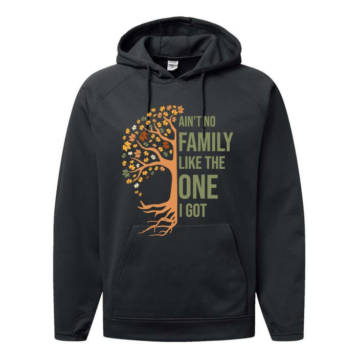 AinT No Family Like The One I Got Funny Family Reunion 2024 Performance Fleece Hoodie