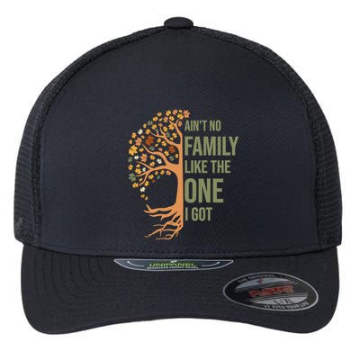 AinT No Family Like The One I Got Funny Family Reunion 2024 Flexfit Unipanel Trucker Cap