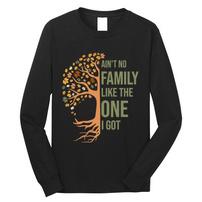 AinT No Family Like The One I Got Funny Family Reunion 2024 Long Sleeve Shirt