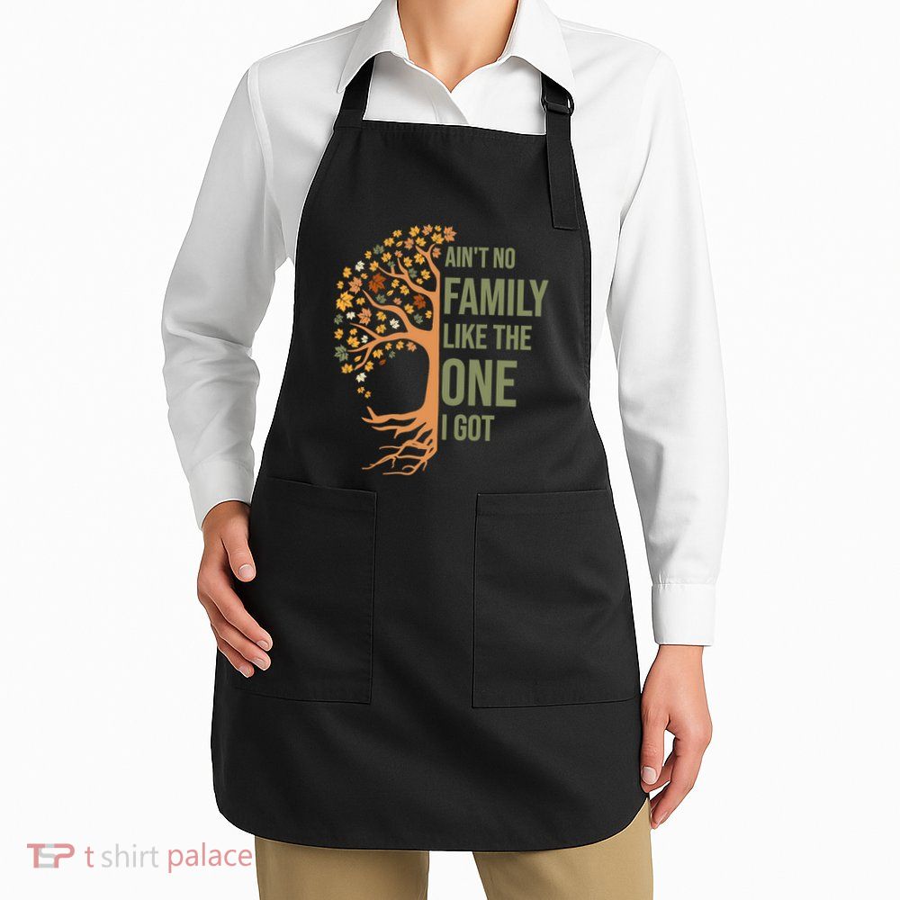 AinT No Family Like The One I Got Funny Family Reunion 2024 Apron