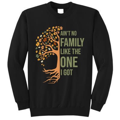 AinT No Family Like The One I Got Funny Family Reunion 2024 Sweatshirt