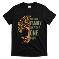 AinT No Family Like The One I Got Funny Family Reunion 2024 T-Shirt