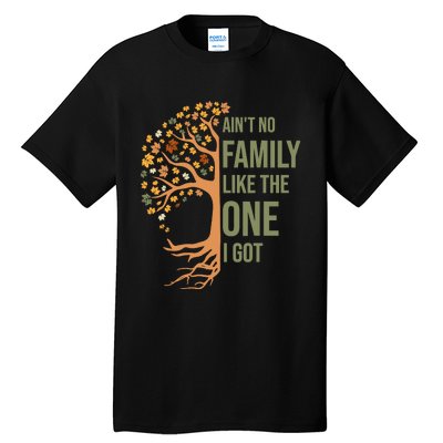 AinT No Family Like The One I Got Funny Family Reunion 2024 Tall T-Shirt