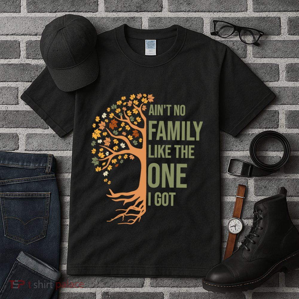 AinT No Family Like The One I Got Funny Family Reunion 2024 Tall T-Shirt