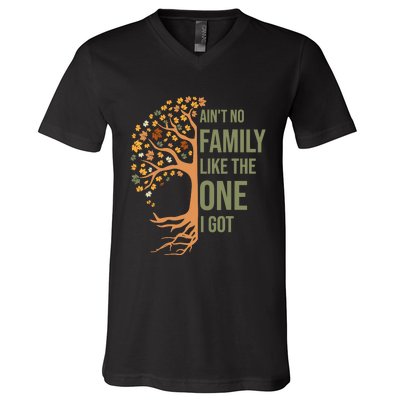 AinT No Family Like The One I Got Funny Family Reunion 2024 V-Neck T-Shirt