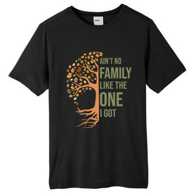 AinT No Family Like The One I Got Funny Family Reunion 2024 Tall Fusion ChromaSoft Performance T-Shirt