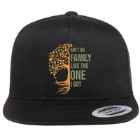 AinT No Family Like The One I Got Funny Family Reunion 2024 Flat Bill Trucker Hat