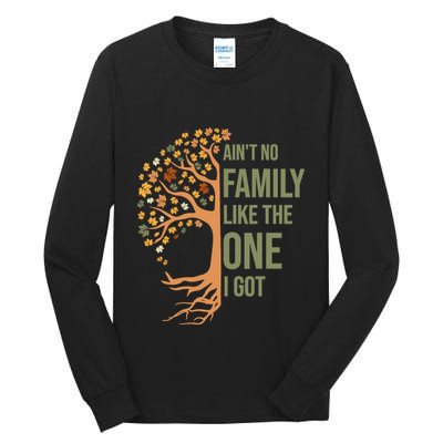 AinT No Family Like The One I Got Funny Family Reunion 2024 Tall Long Sleeve T-Shirt