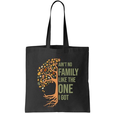 AinT No Family Like The One I Got Funny Family Reunion 2024 Bag