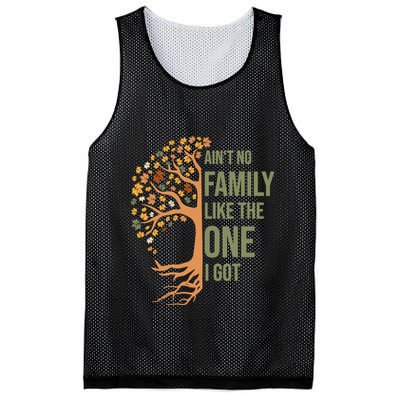 AinT No Family Like The One I Got Funny Family Reunion 2024 Mesh Reversible Basketball Jersey Tank