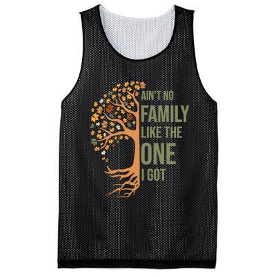 AinT No Family Like The One I Got Funny Family Reunion 2024 Mesh Reversible Basketball Jersey Tank