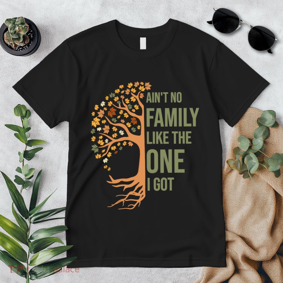 AinT No Family Like The One I Got Funny Family Reunion 2024 Premium T-Shirt