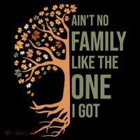 AinT No Family Like The One I Got Funny Family Reunion 2024 Premium T-Shirt