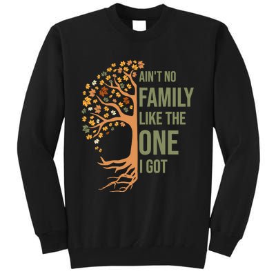 AinT No Family Like The One I Got Funny Family Reunion 2024 Tall Sweatshirt