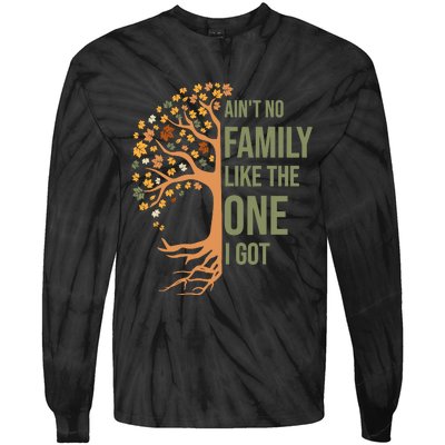 AinT No Family Like The One I Got Funny Family Reunion 2024 Tie-Dye Long Sleeve Shirt