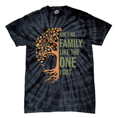 AinT No Family Like The One I Got Funny Family Reunion 2024 Tie-Dye T-Shirt