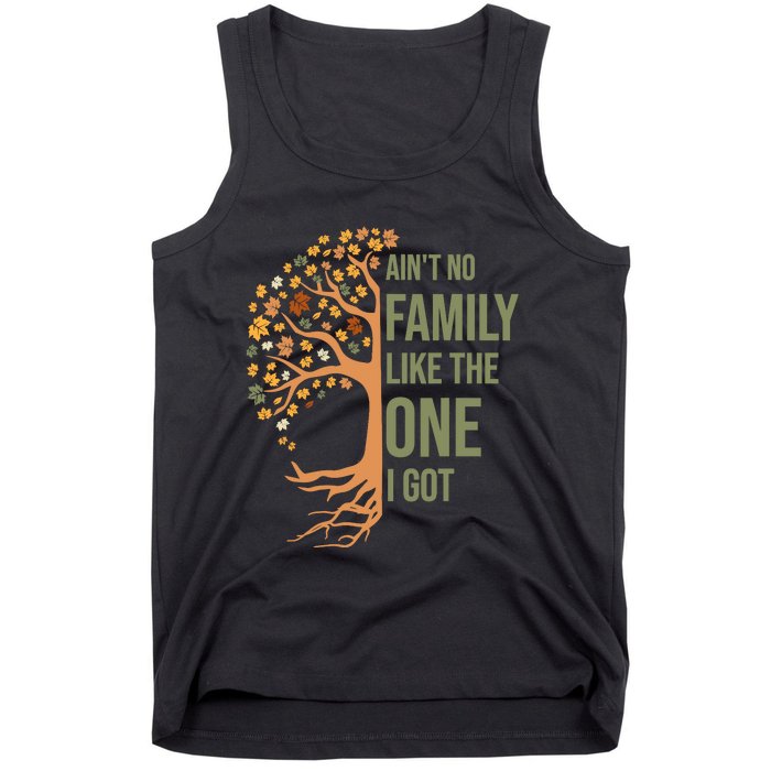 AinT No Family Like The One I Got Funny Family Reunion 2024 Tank Top