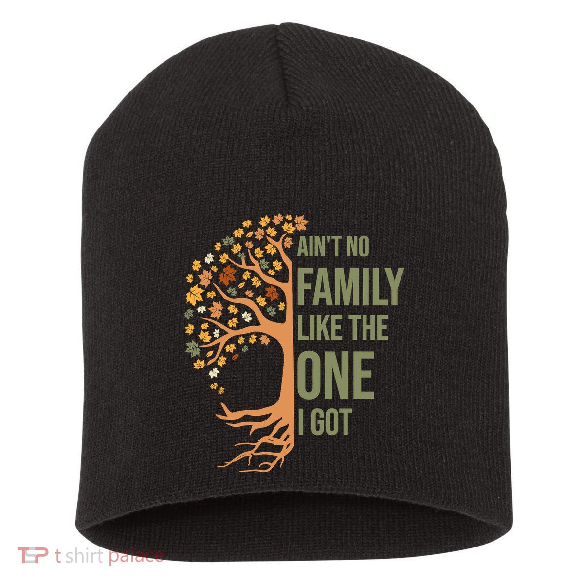 AinT No Family Like The One I Got Funny Family Reunion 2024 Short Acrylic Beanie