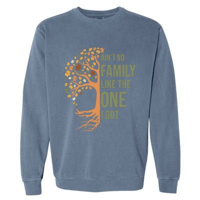 AinT No Family Like The One I Got Funny Family Reunion 2024 Garment-Dyed Sweatshirt