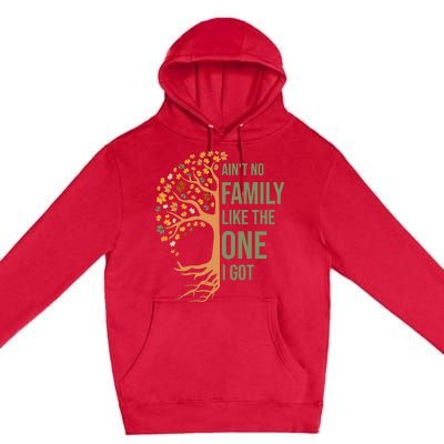 AinT No Family Like The One I Got Funny Family Reunion 2024 Premium Pullover Hoodie