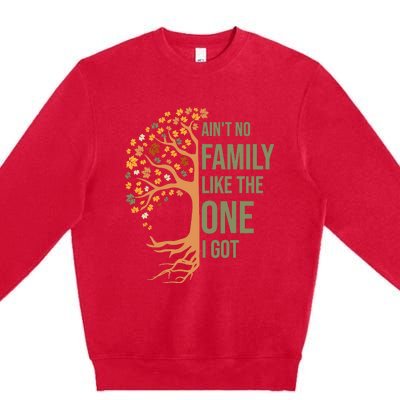 AinT No Family Like The One I Got Funny Family Reunion 2024 Premium Crewneck Sweatshirt