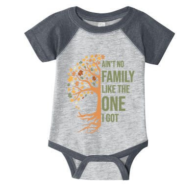 AinT No Family Like The One I Got Funny Family Reunion 2024 Infant Baby Jersey Bodysuit