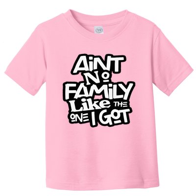 Aint No Family Like The One I Got For Family Toddler T-Shirt