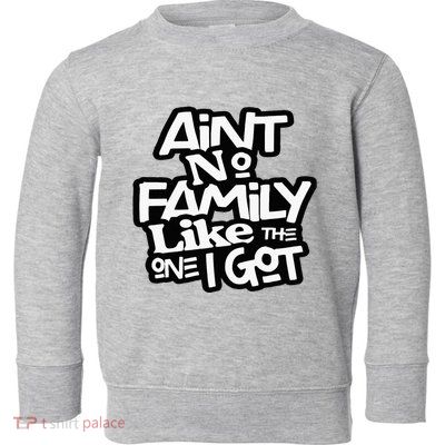 Aint No Family Like The One I Got For Family Toddler Sweatshirt