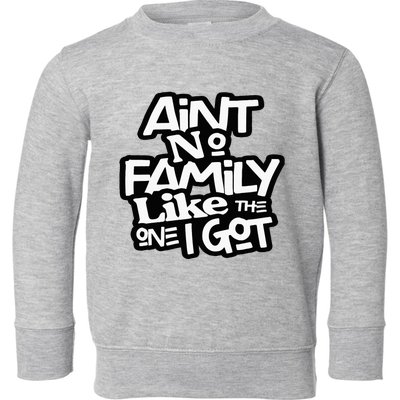 Aint No Family Like The One I Got For Family Toddler Sweatshirt