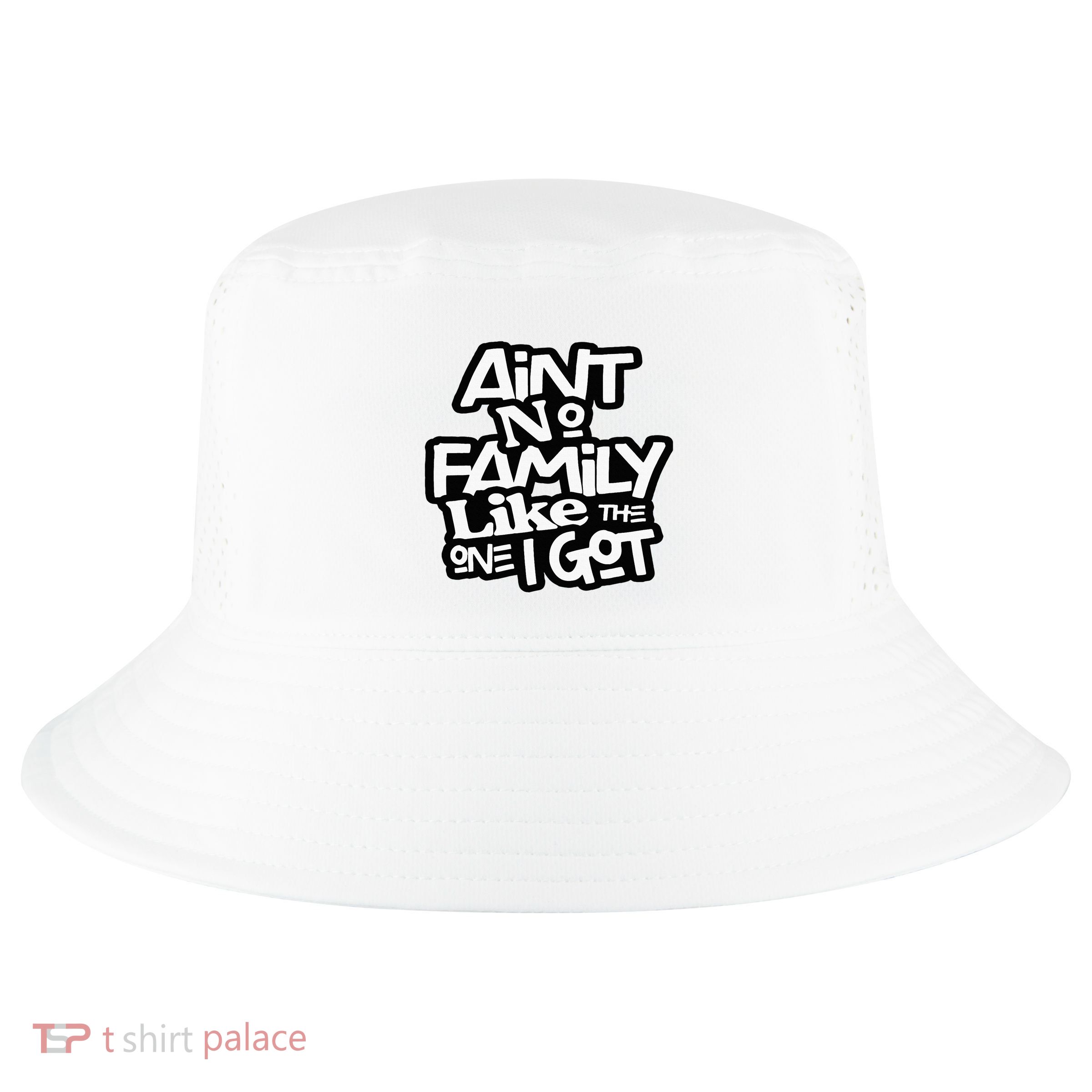 Aint No Family Like The One I Got For Family Cool Comfort Performance Bucket Hat