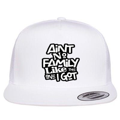 Aint No Family Like The One I Got For Family Flatbill Hat
