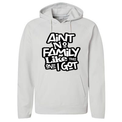 AinT No Family Like The One I Got For Family Performance Fleece Hoodie