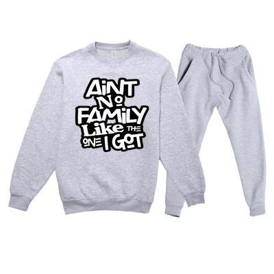 AinT No Family Like The One I Got For Family Premium Crewneck Sweatsuit Set