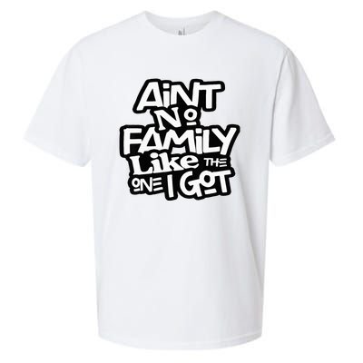 AinT No Family Like The One I Got For Family Sueded Cloud Jersey T-Shirt