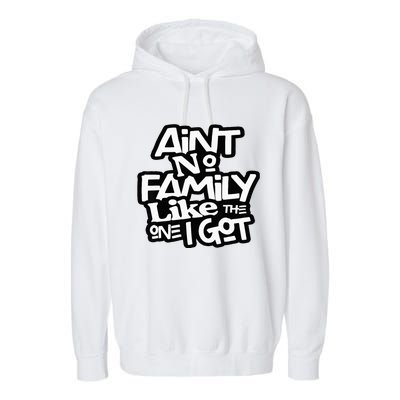 AinT No Family Like The One I Got For Family Garment-Dyed Fleece Hoodie