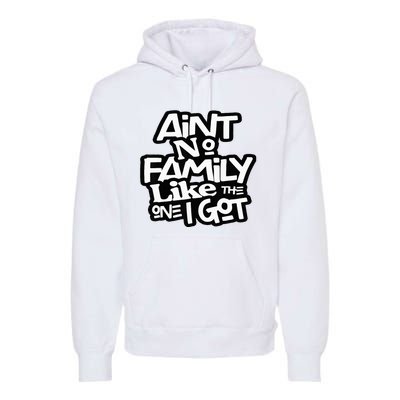 AinT No Family Like The One I Got For Family Premium Hoodie