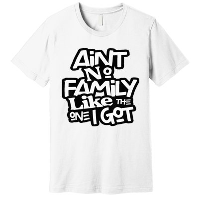 AinT No Family Like The One I Got For Family Premium T-Shirt