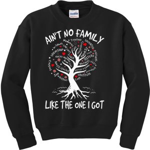 AinT No Family Like The One I Got Matching Family Reunion Kids Sweatshirt